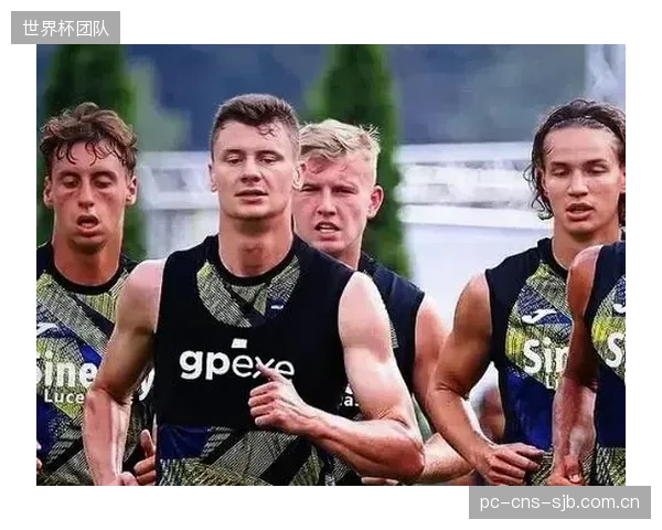 意大利队阵容面临老化风险，经验与体能的平衡将是主教练的首要课题。